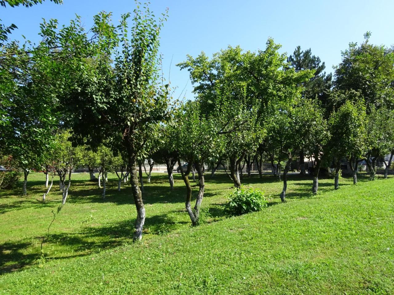 Apartment Una Laguna Bihać Exteriör bild